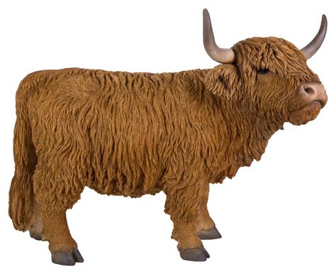 Life Like Highland Cattle B Welcome To Hawley Garden Centre Online