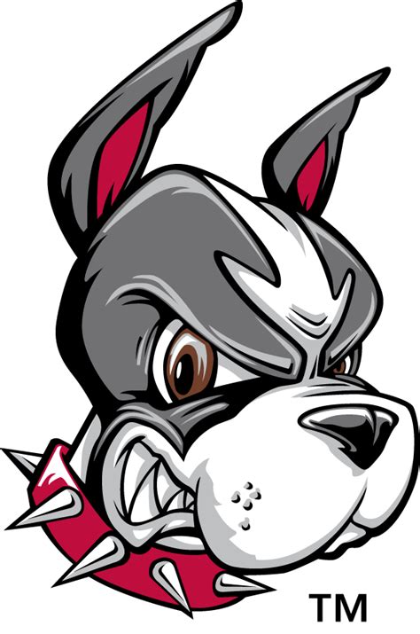 Boston University Terriers Logo Secondary Logo Ncaa Division I A C