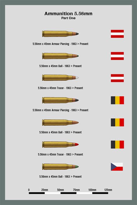 Ammo Chart 556mm Part 1 By Ws Clave On Deviantart