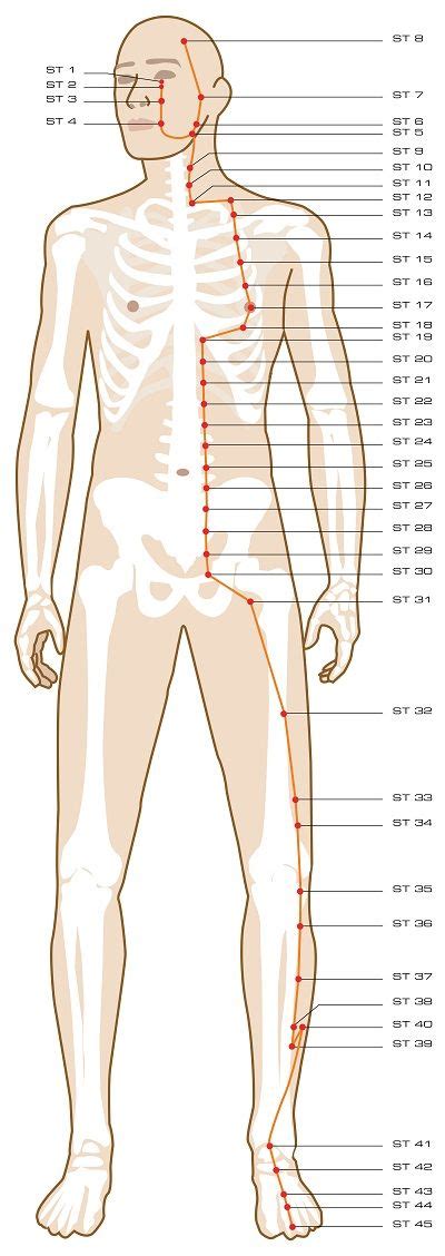 Female Foot Acupuncture Points Chart