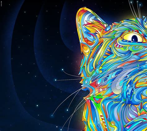 48 Trippy Cat Wallpaper Wallpapersafari