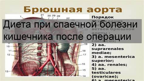 Диета полипы кишечника Диета при спаечной болезни кишечника после операции - YouTube Диета при спаечной болезни кишечника после операции - YouTube Диета полипы кишечника
