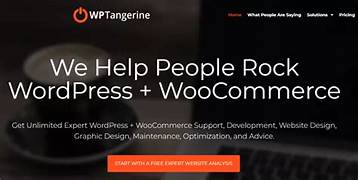 Unleashing Digital Potential: How WPTangerine Revolutionizes WordPress Development