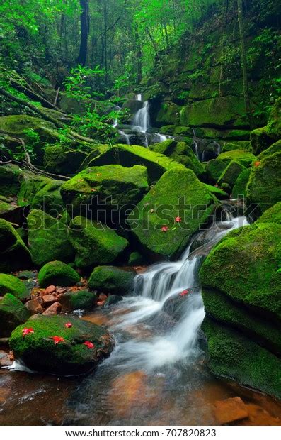 Beautiful Waterfall Deep Forest On High Foto De Stock 707820823