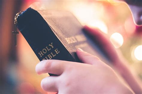 Hd Wallpaper Person Holding Holy Bible Book Cross Reading Religious