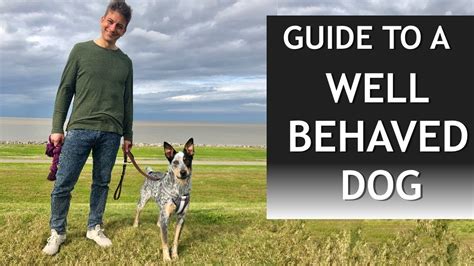 Your Guide To A Well Behaved Dog Pet News Live