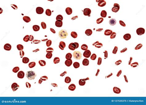 Normal Blood Smear Stock Illustration Illustration Of Monocyte 127535375