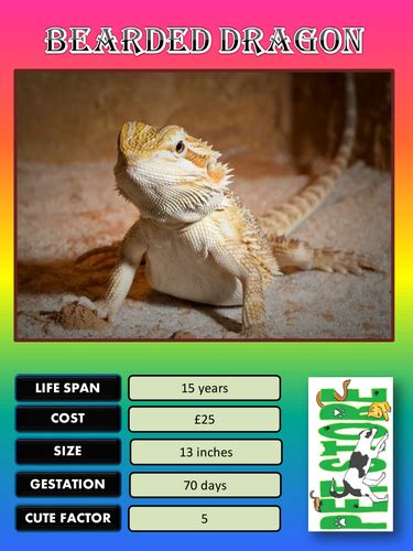 Chose some of your favourites to turn into top trump cards. Make your own animal top trumps by mcsquarkle - Teaching ...