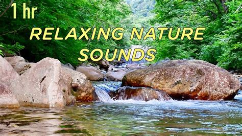 Relaxing Nature Soundsriver Youtube
