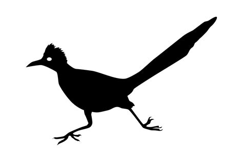 Roadrunner Bird Silhouette Graphic By Idrawsilhouettes · Creative Fabrica