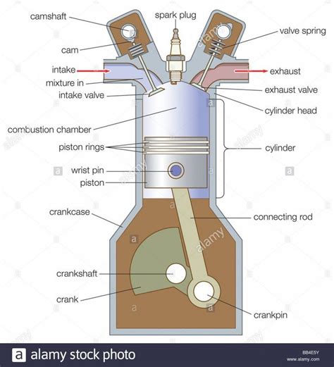 Single Cylinder Engine Diagram