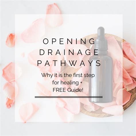 Opening Drainage Pathways Why It Is The First Step For Healing Free