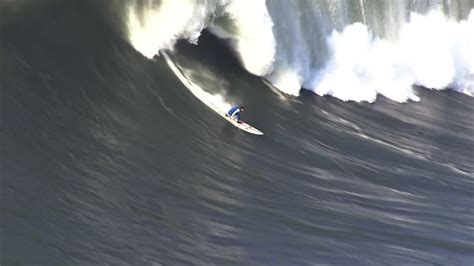 Surfer Captures Video Of Great White Shark Encounter In California