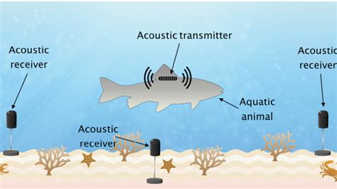 Magneto Acoustic Resonator For Aquatic Animal Tracking Sensors