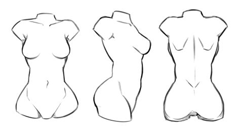 How To Draw The Female Torso So That Anyone Can Do It Omnart