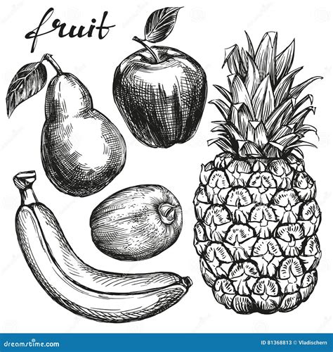 Frui Set Pear Apple Banana Kiwi Pineapple Hand Drawn Vector Sketch