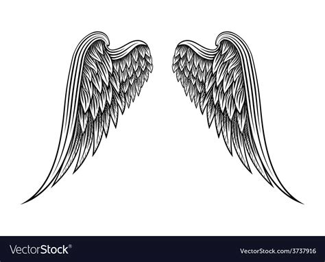 hand drawn angel wings royalty free vector image