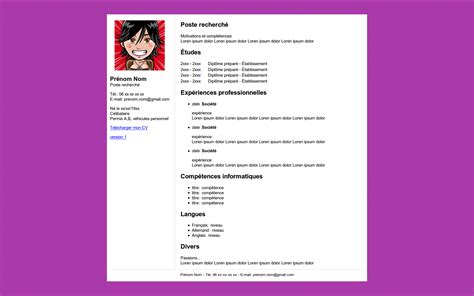 La rédaction du cv pour une femme de ménage. support de cours - Web Marketing - Supports de cours IAE ...