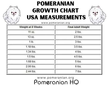 Pomeranian Weight Age Chart Pets Lovers