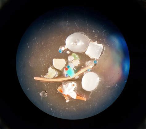 Mikroplastik In Den Ozeanen Und Meeren Mchem De