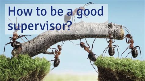 How To Become A Great Supervisor
