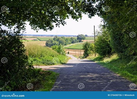 Scenic Country Road Winding Through Lush Green Fields Stock Photo