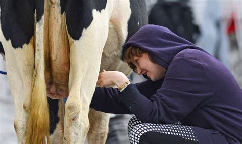 Lena Dunham Milks A Cow In The Middle Of New York City Salon Com