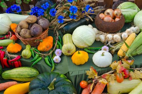 Autumn Harvest Of Various Vegetables Stock Photo Image Of Autumn