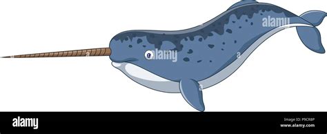 Cartoon Narwhal Isolated On White Background Stock Vector Image And Art