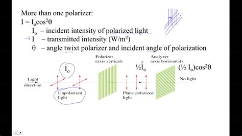 Polarized Light Intensity Equation - Tessshebaylo