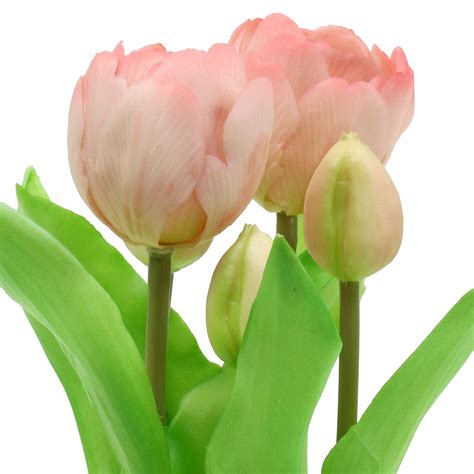 Tulipano in vaso Rosè Real-Touch 22,5cm-63017 , acquista a buon mercato ...