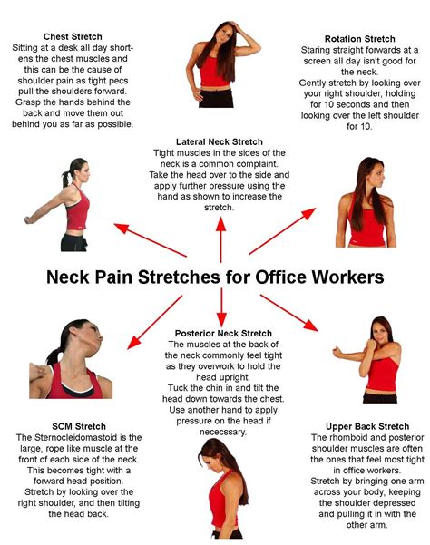 Best Exercises For Neck Pain Relief Exercise Poster