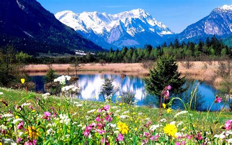Spring In The Mountains Spring Wallpaper 31493838 Fanpop