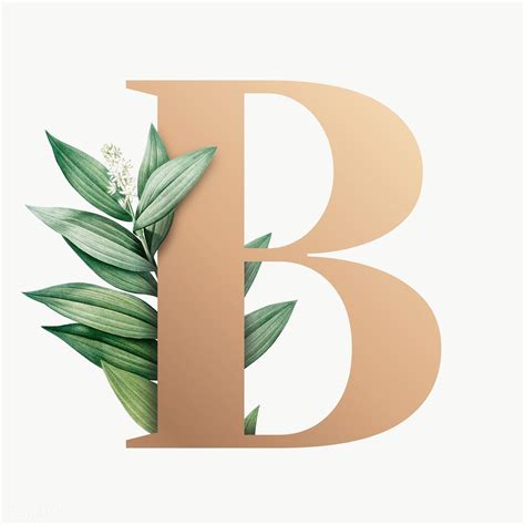 Botanical Capital Letter B Transparent Png Premium Image By Rawpixel