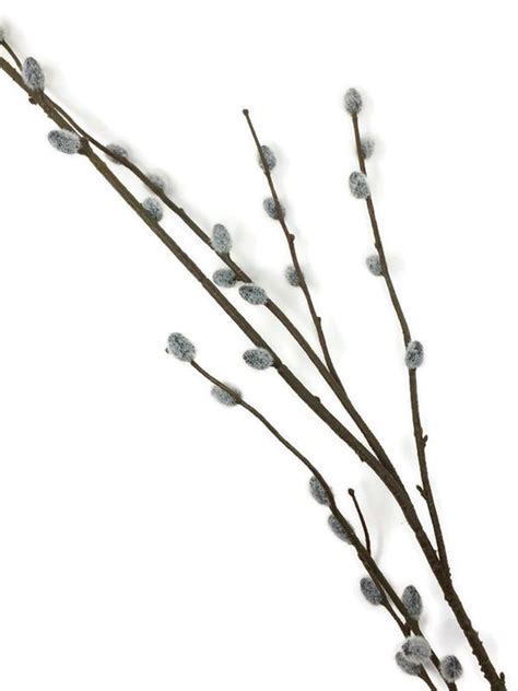 pussy willow spray x 100cm — artificial floral supplies