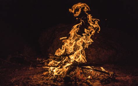 Download Wallpapers Bonfire 4k Fire Night Forest Fire Flames For