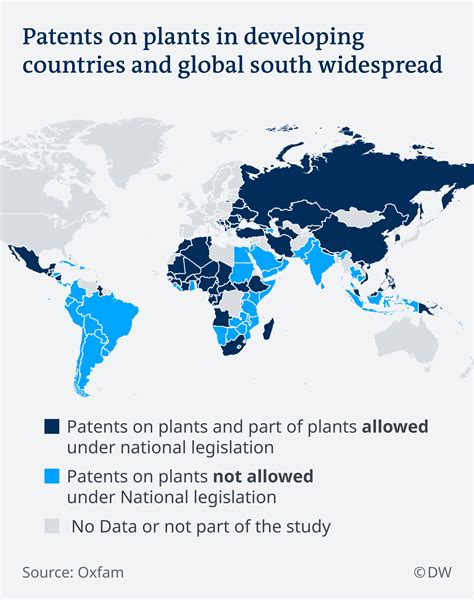 Number Of Plant Patents Increasing Around The Globe Sd Hs Sd Hs