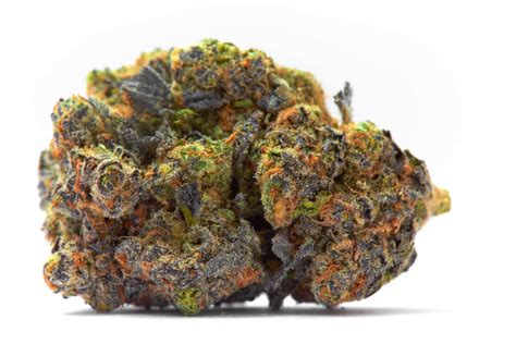 10 Most Exotic Weed Strains 2022 The Lodge Cannabis