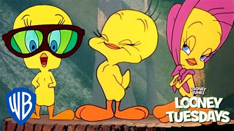 Looney Tuesdays Tweety An Icon For Everyone Looney Tunes Wb