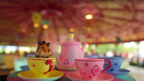 Internet Star Tiny Hamster Visits Walt Disney World For His Best Day