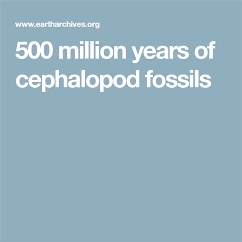 500 Million Years Of Cephalopod Fossils Cephalopod Fossils Cuttlefish