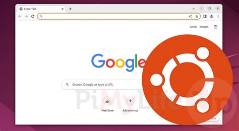 How To Install Google Chrome On Ubuntu Pi My Life Up