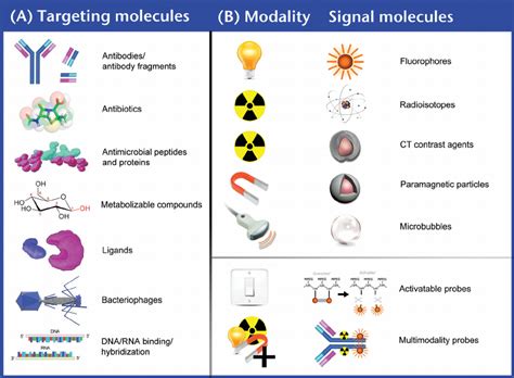 Targeted Probes And Imaging Modalities A Molecules Used For