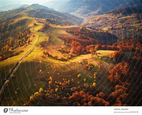 Mountain Autumn Landscape Meadow And Colorful Forest A Royalty Free