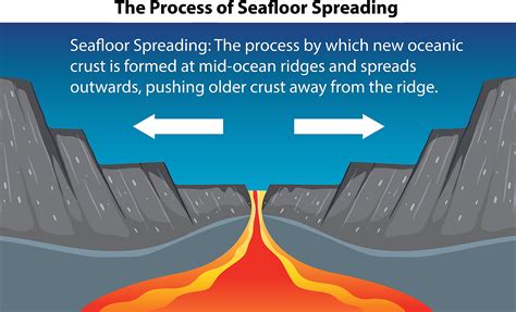 How Does Seafloor Spreading Support Plate Tectonics Floor Roma