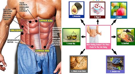 Diet For Six Pack Abs 7 Rules For Proper Nutrition Bodydulding