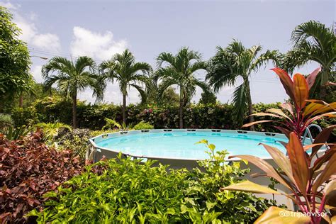 palm paradise guest house 2 apartments pool pictures and reviews tripadvisor