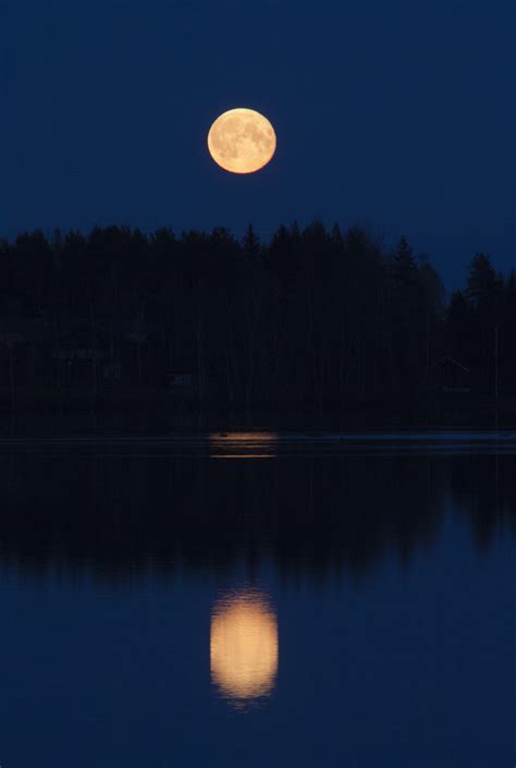 Free Photo Moon Moonrise Evening Dark Hippopx