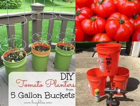 Vertical Tomato Planters From Five Gallon Buckets Diy Project The
