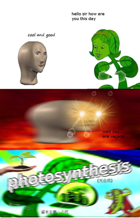 p͂h̓ͥ̑ͧͧ̿͒̔ͯ̀ͨ̅͌̓͏̴̩̤̯̺̝ȍ̢̢̹͇ͧͮ̑ͣ͊̄̂͂͋̒̆́̚t̨͚͕̉̑̌ͪ̑̓͑͋̂̓̈͛ͬ̎̈́̋̀̀̀̚o̡̿̊̇ͪ́̎͌̋̒̓̈ͤ̀